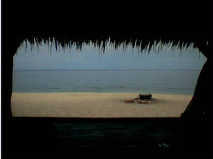 laiya2.jpg