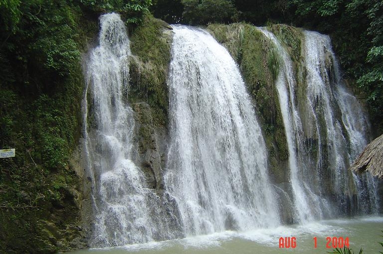 075wowparin1.jpg